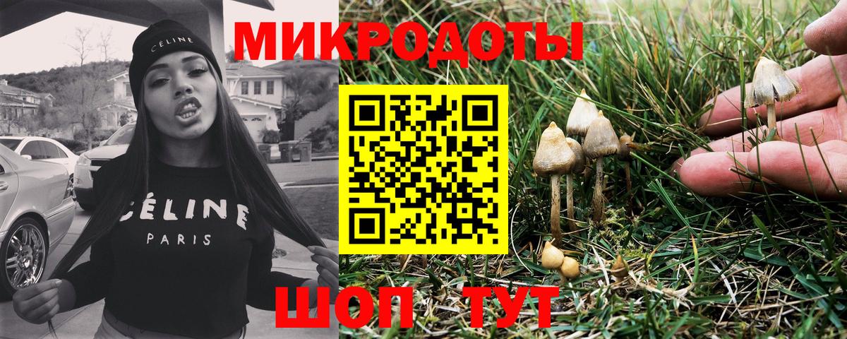Псилоцибиновые грибы Psilocybine cubensis  Галлюциногенные грибы Cubensis  Вход с VPN  Горячий Ключ 
