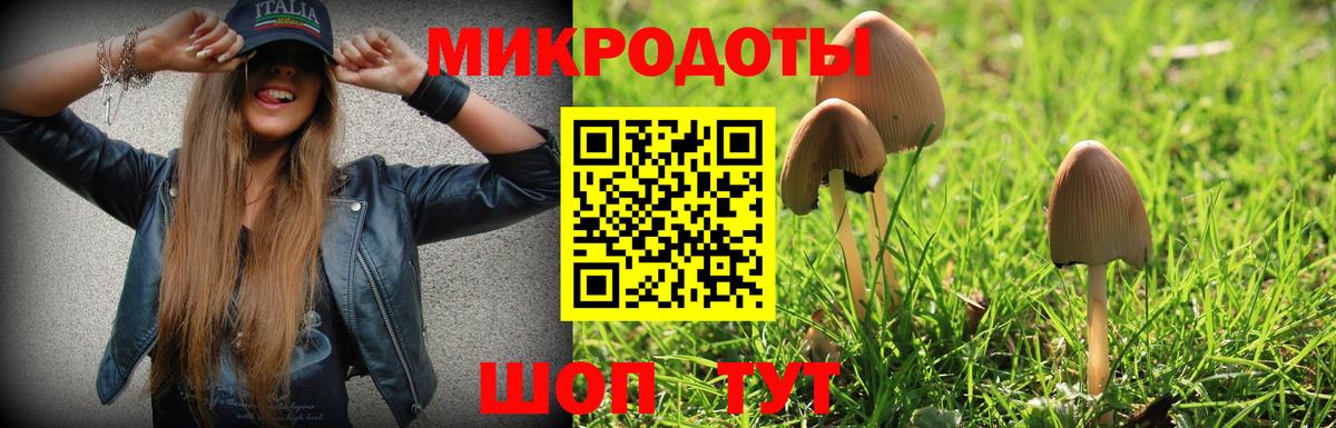 Псилоцибиновые грибы Cubensis Горячий Ключ